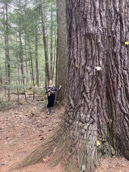 Beltane Gathering 3