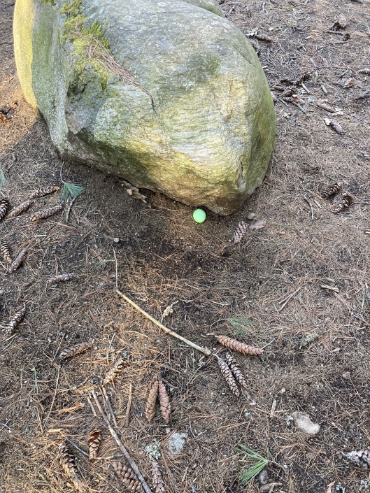 Spring Equinox Gathering 3