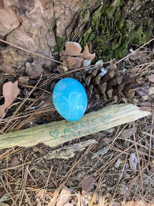 Sring Equinox Gathering 2